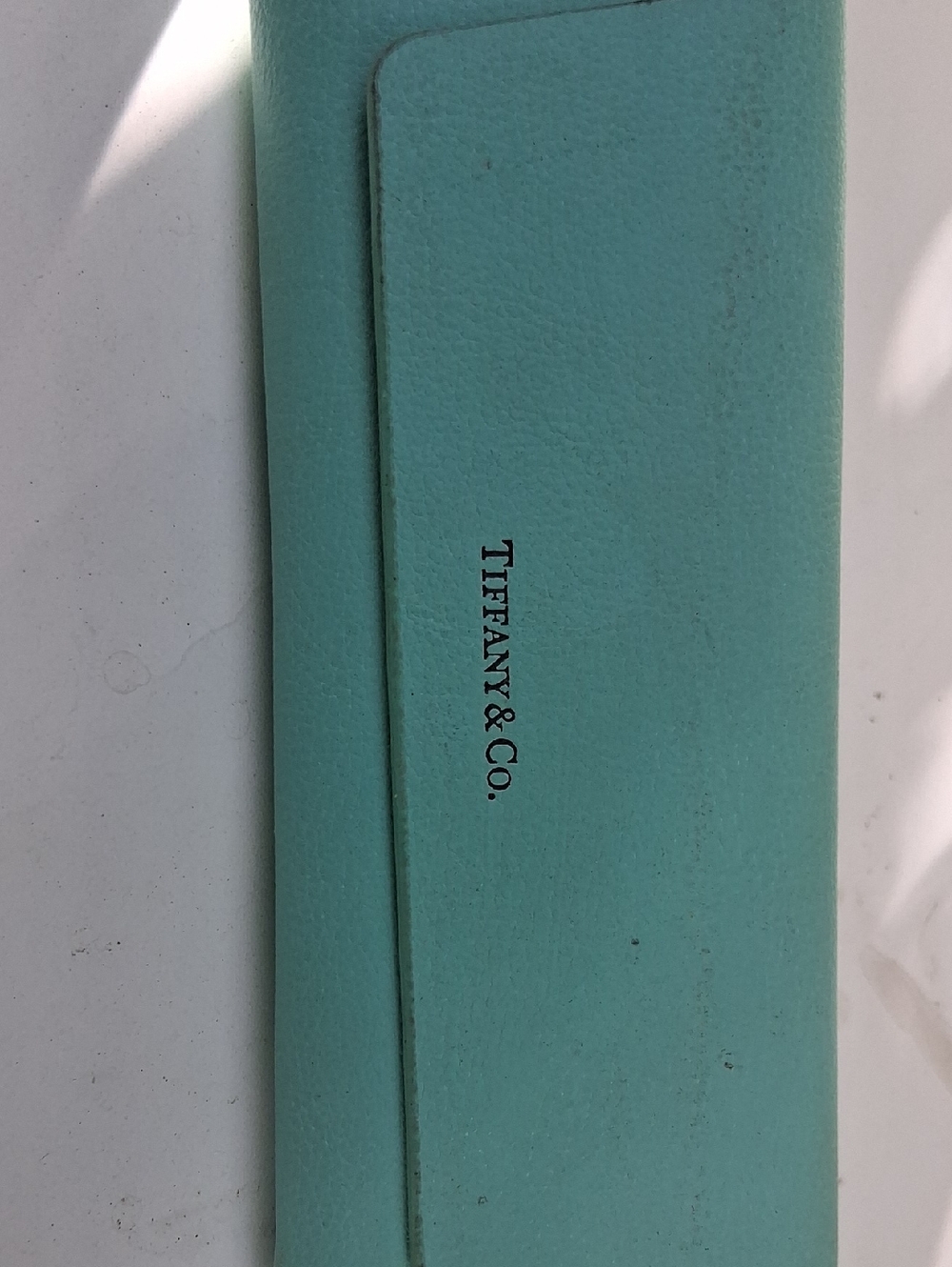 Tiffany & Co. Eyeglass Case in Robin's Egg Blue